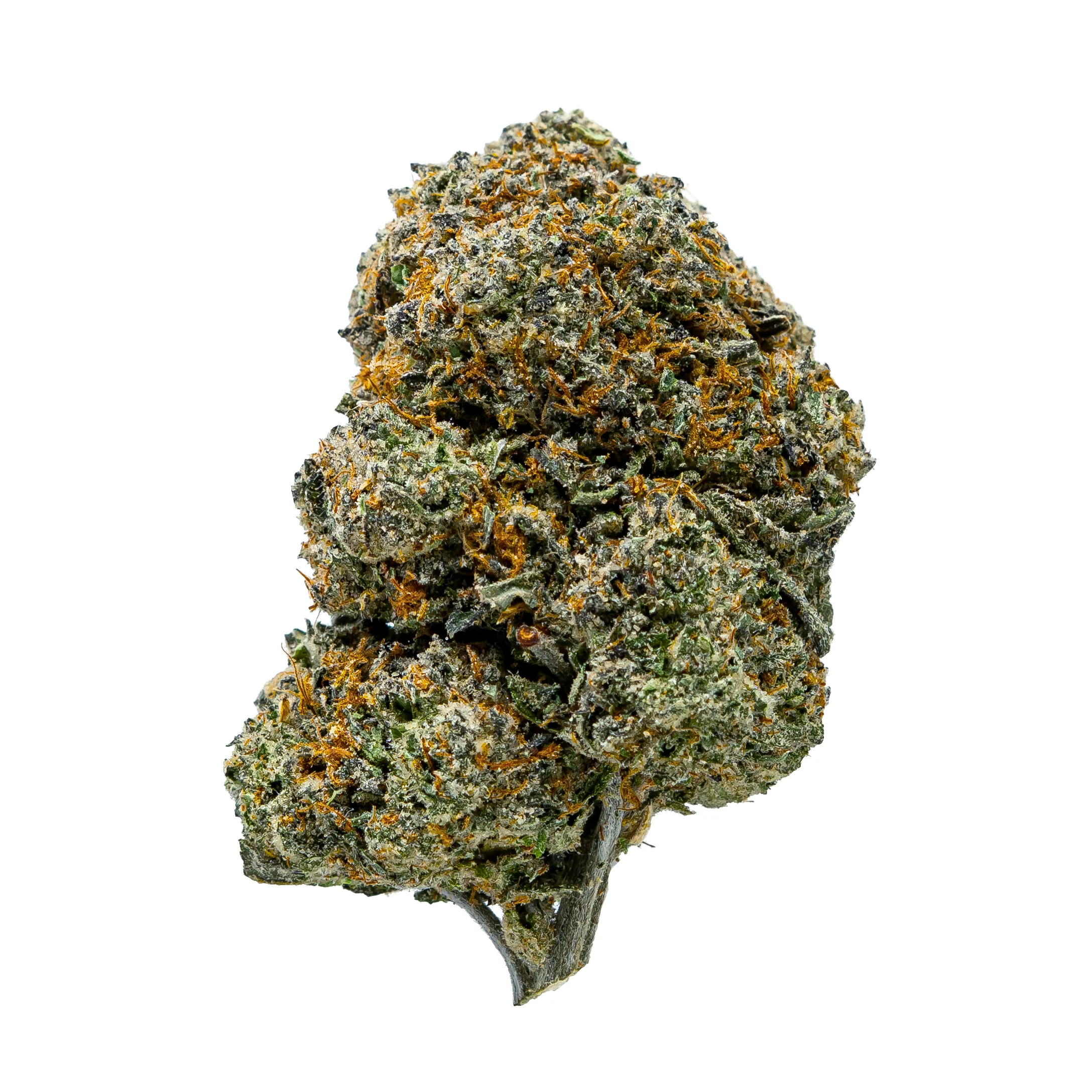 Gold Spectrum THCA Flower (Connoisseur) - Bubblegum