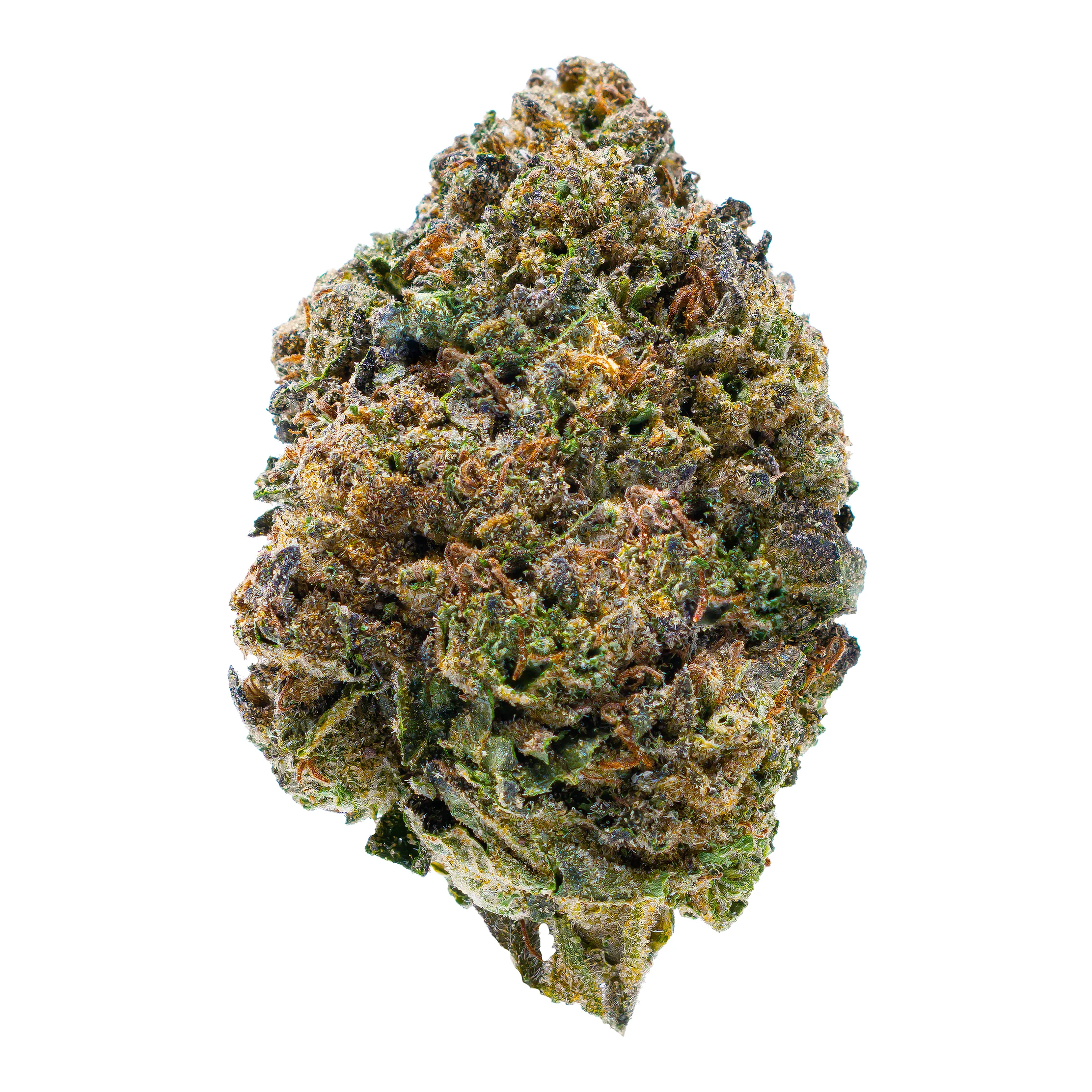 Gold Spectrum THCA Flower (Connoisseur) - Double Burger