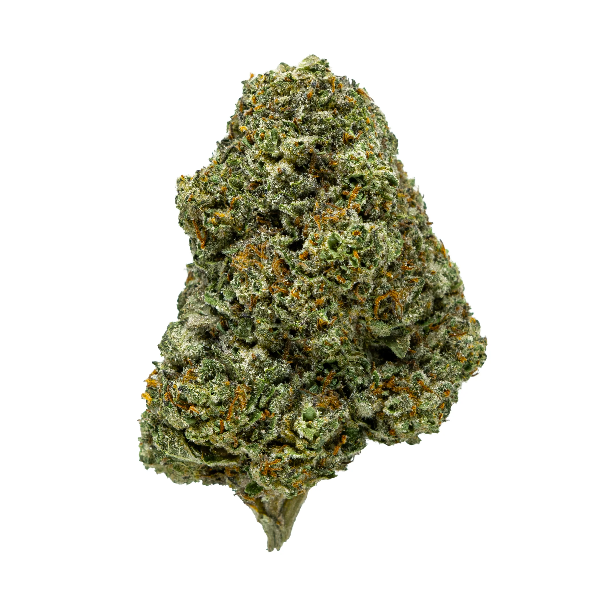 Gold Spectrum THCA Flower (Exotic) - Nose Candi