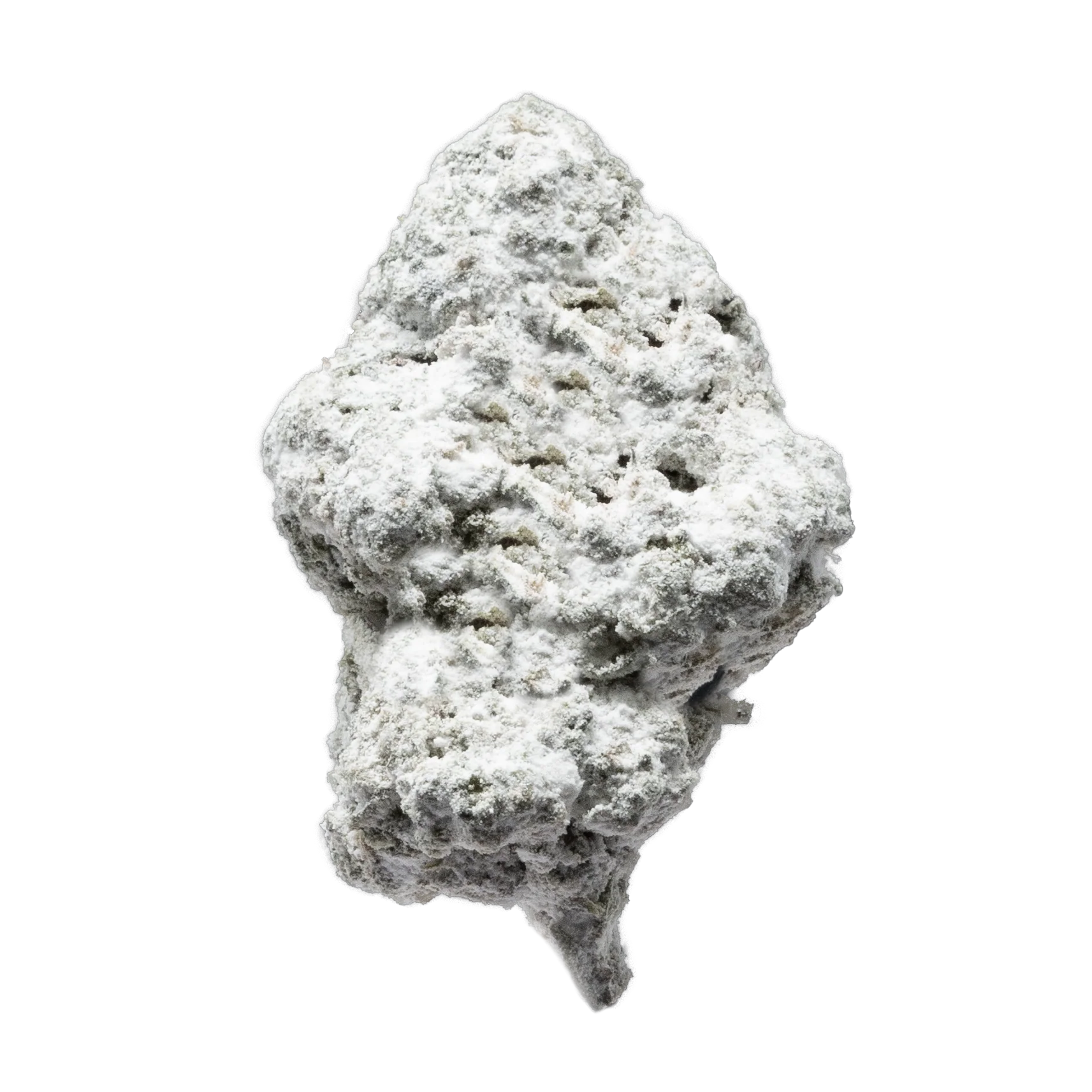Gold Spectrum THCA Flower - Snowball of the Month - Image 3