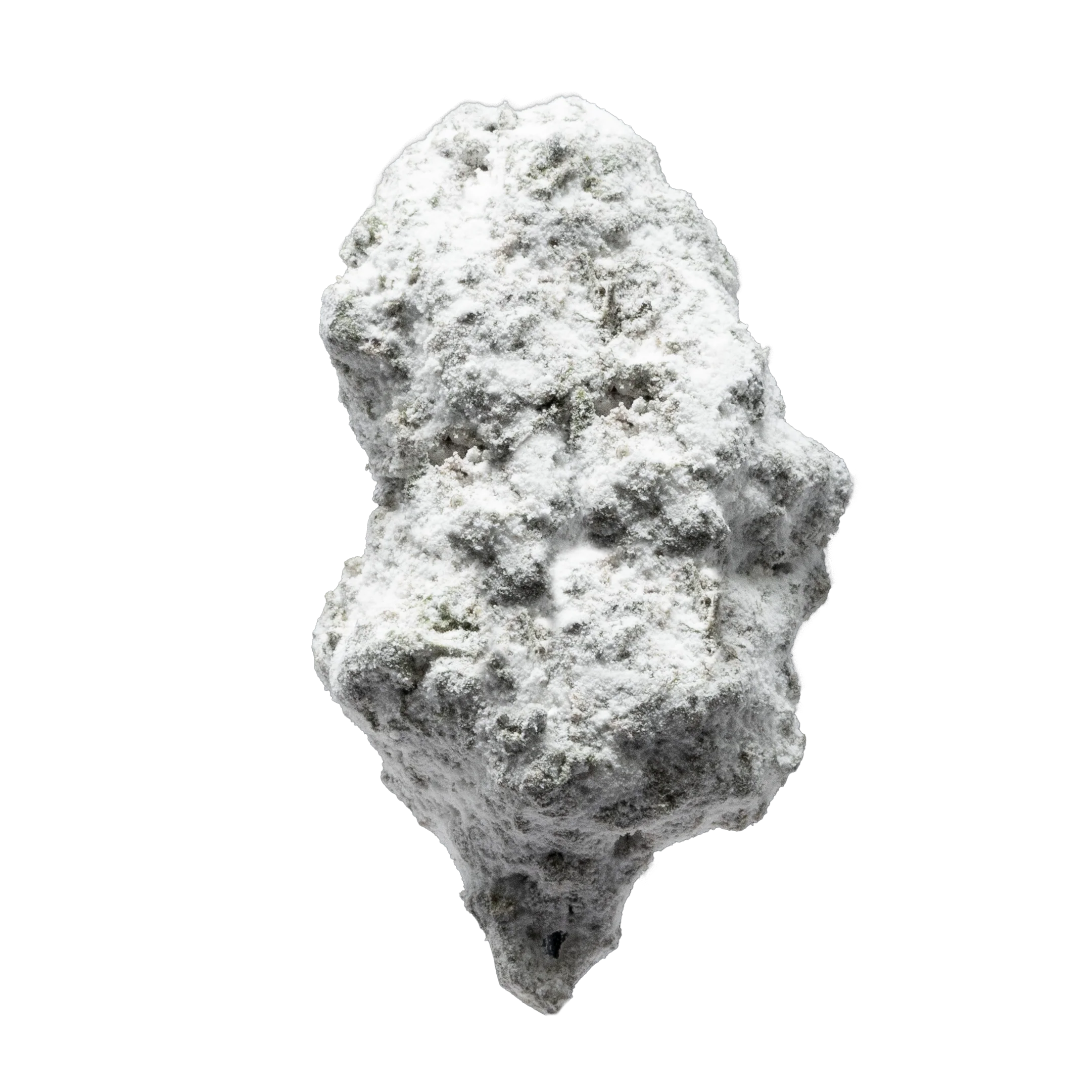 Gold Spectrum THCA Flower - Snowball of the Month - Image 4
