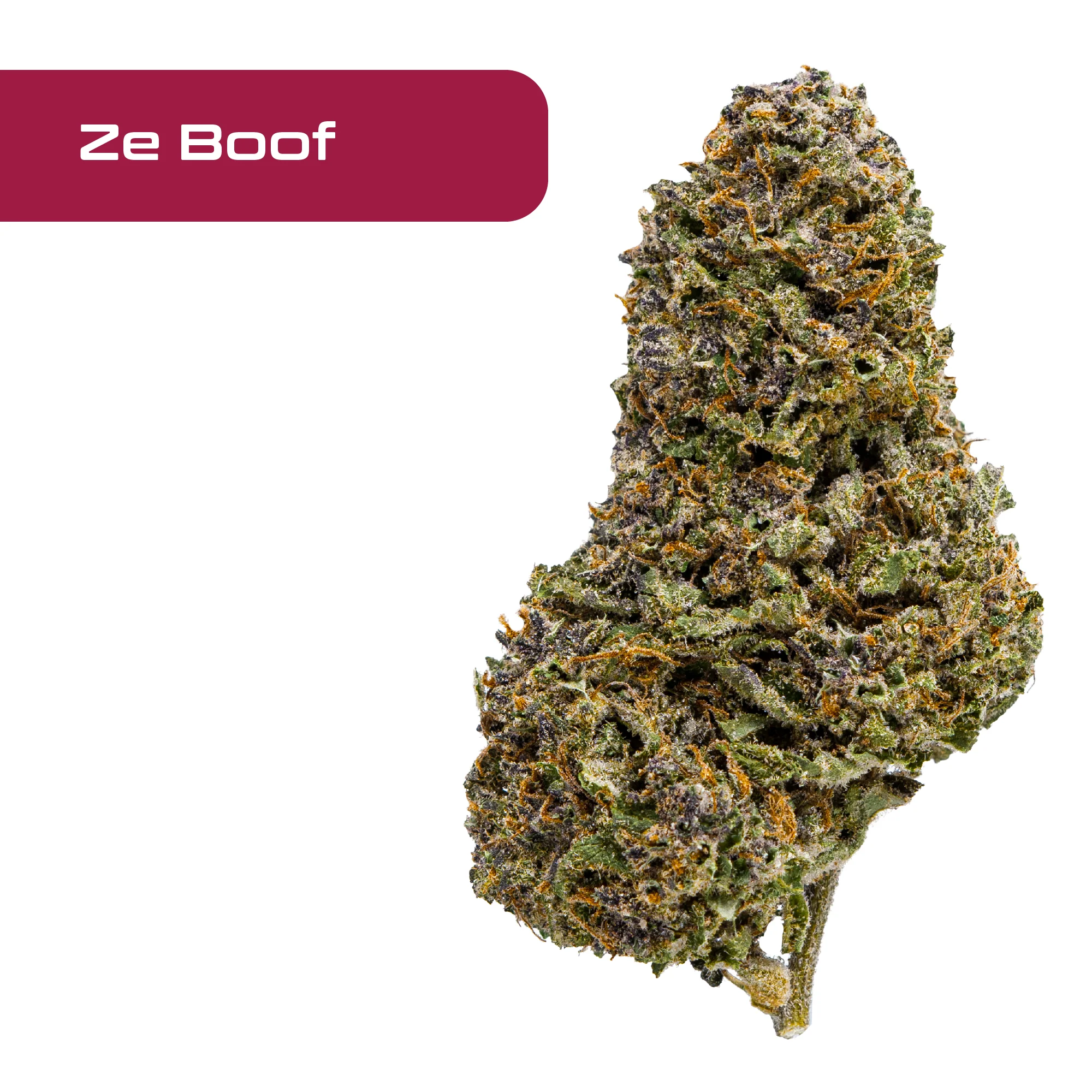 Gold Spectrum THCA Flower - Top Quality Strain of the Month - Image 3